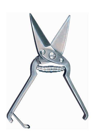 Grooming Aid
