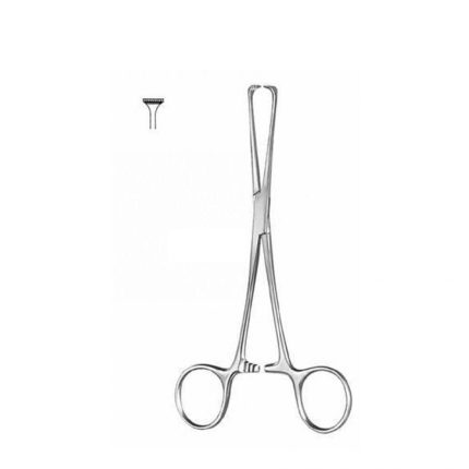 Allis Tissue Forcep 18cm Straight