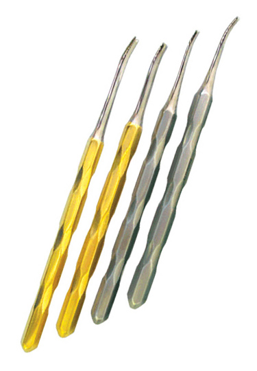 Castration Spaying