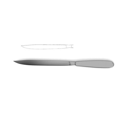 Liston Amputation Knife