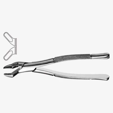 American Pattern Tooth Extraction Forceps Fig. 10S