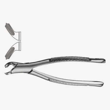 American Pattern Tooth Extraction Forceps