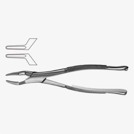 American Pattern Tooth Extraction Forceps
